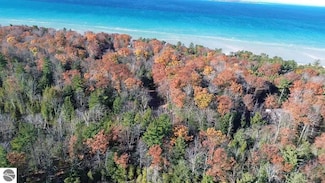 0 Hidden Dunes Ln Unit 30, Milton Township, MI 49648