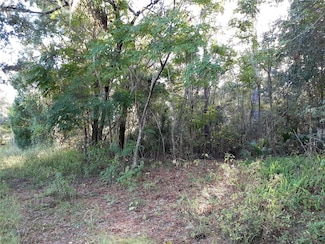 2485 Blue Ridge Ave, Volusia Highlands, FL 32763