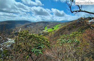 325 N Pinnacle Ridge Rd, Beech Mountain, NC 28604