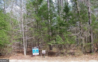 LOT 30 Benjamin Brown Ct, Elberton, GA 30635