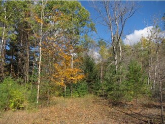 00 Beech St, Manchester Center, VT 05255