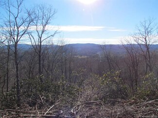 0 Caroline Dr Unit 3144692, Horse Shoe, NC 28742