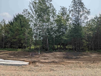 765 Torrey Pines Way Unit Lot 86, Plover, WI 54467