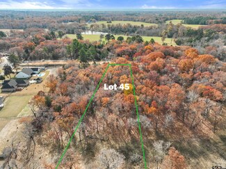 TBD Tbd Pr 6305 Lot 45, Mineola, TX 75773