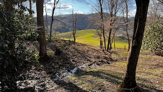 1266 Flatwoods School Rd, Husk, NC 28643