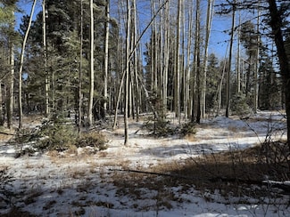 lot 99 Zia Rd, Angel Fire, NM 87710