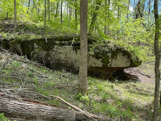 1820 Sulphus Springs Hollow Rd, Somerset, KY 42501