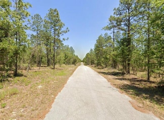 Lot 13 Hemlock Ave, Rainbow Lakes Estates, FL 34431