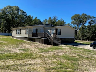 1413 Power Dam Rd, Newton, AL 36352