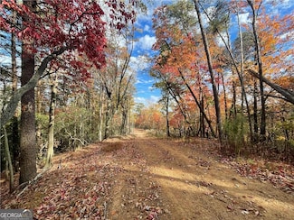 0 Firetower Rd Unit 10438971, Jasper, GA 30143