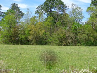 925 S Luke Dr, Franklin, LA 70538