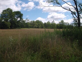 00 Piety Ridge Rd, Marathon, NY 13803