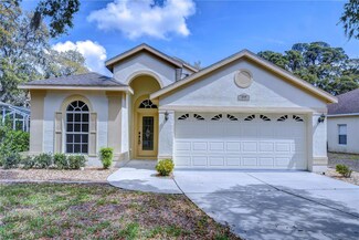 16501 Sandhill Crane Dr, Spring Hill, FL 34610