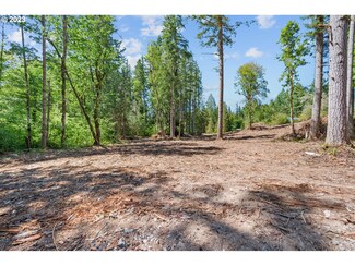 0 S Dhooghe Rd, Molalla, OR 97038