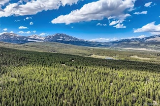 0 Guymard Rd Unit REC9665676, Fairplay, CO 80424