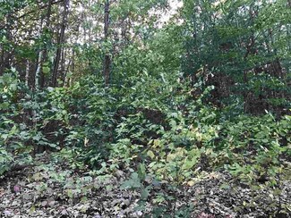 1A Cressy Rd, Bradford, NH 03221