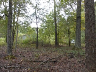 158 Plantation Dr, Waynesboro, GA 30830