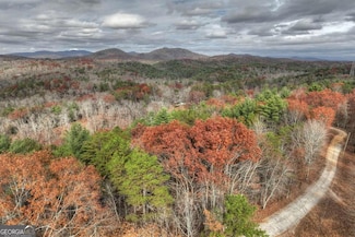 2.88 Mountain Laurel Dr, Mineral Bluff, GA 30559