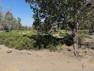 8-1 Lot 276 Sherwood Rd Unit 8-1, Lake Shastina, CA 96094