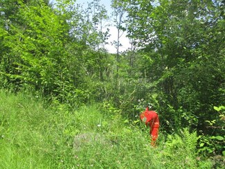 Lot 1 Brookview Ln, Wolcott, VT 05860