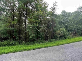Lot 66 Cobalt Bay Dr, Shirley, AR 72153