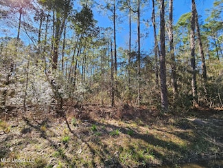 Lot 29 Gregory Dr, Pass Christian, MS 39571