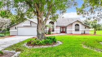 10578 Woodland Waters Blvd, Weeki Wachee, FL 34613