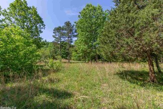 423 Polk Road 14, Wickes, AR 71973