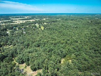 000 Highway 19, Cherryville, MO 65560