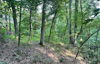 106b Calico Ct, Alberta, AL 36720