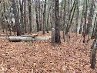 Lot 1375 Lyric Ln, Ellijay, GA 30540