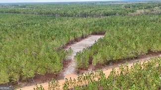 0 Penny Morris Rd, Baxley, GA 31513