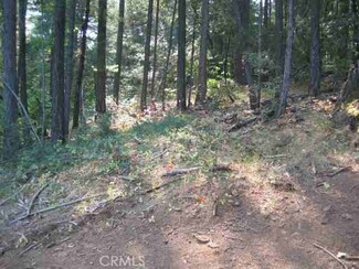 0 He Le Ve Rd, Berry Creek, CA 95916