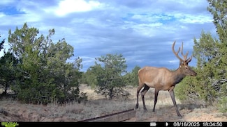 83 Bear Valley Rd, Pinehill, NM 87357