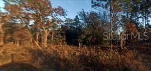 TBD SW 194th Ave, Dunnellon, FL 34432