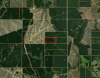 00 Pine St, Wesson, MS 39191