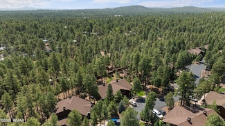 491 S Spirea Ln, Show Low, AZ 85901
