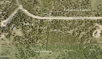 1154 Gcr 5002 Aka Moose Run Ln, Fraser, CO 80442