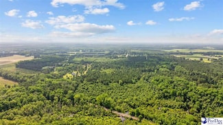 TBD Sandspur Cir, Bennettsville, SC 29512