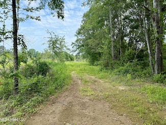 0 Comfort Rd, Kosciusko, MS 39090