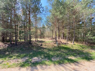 4972 Red Pine Dr, Bridgeton Township, MI 49327