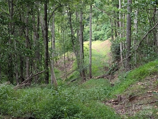 99999 Running Deer Ln Unit 25, Mars Hill, NC 28754