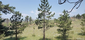 1102 Emery Loop, Fort Garland, CO 81133