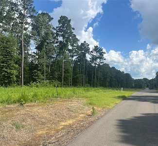 Lot 6 Pine Grove Rd, Stonewall, LA 71078