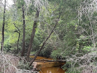 33+/- ac Keyser Mill Rd, Baker, FL 32531