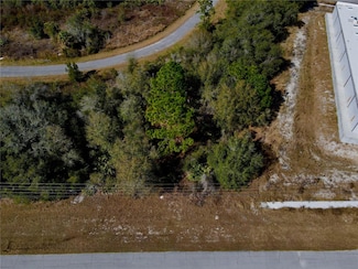 1605 Marlin Dr, Poinciana, FL 34759