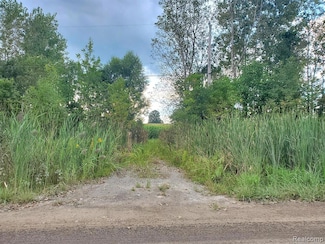 10102 Sharp Rd, Swartz Creek, MI 48473