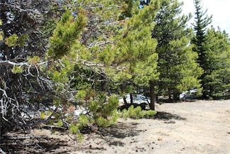 Group 11 Lamartine Rd Unit 4957,15855,6376, Idaho Springs, CO 80452