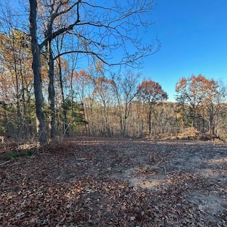 LOT 3 E Cedar Tree Ln, Cedar Township, MO 65039