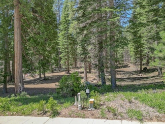 16 Old Mill Dr, McCloud, CA 96057